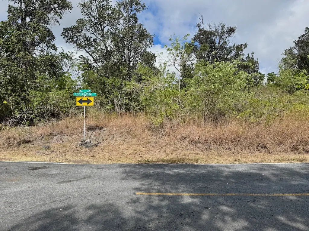 Lotus Blossom Circle Mauka Ocean View HI 96737