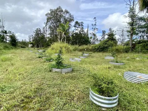 11-2747 Pikake Street Mountain View HI 96771