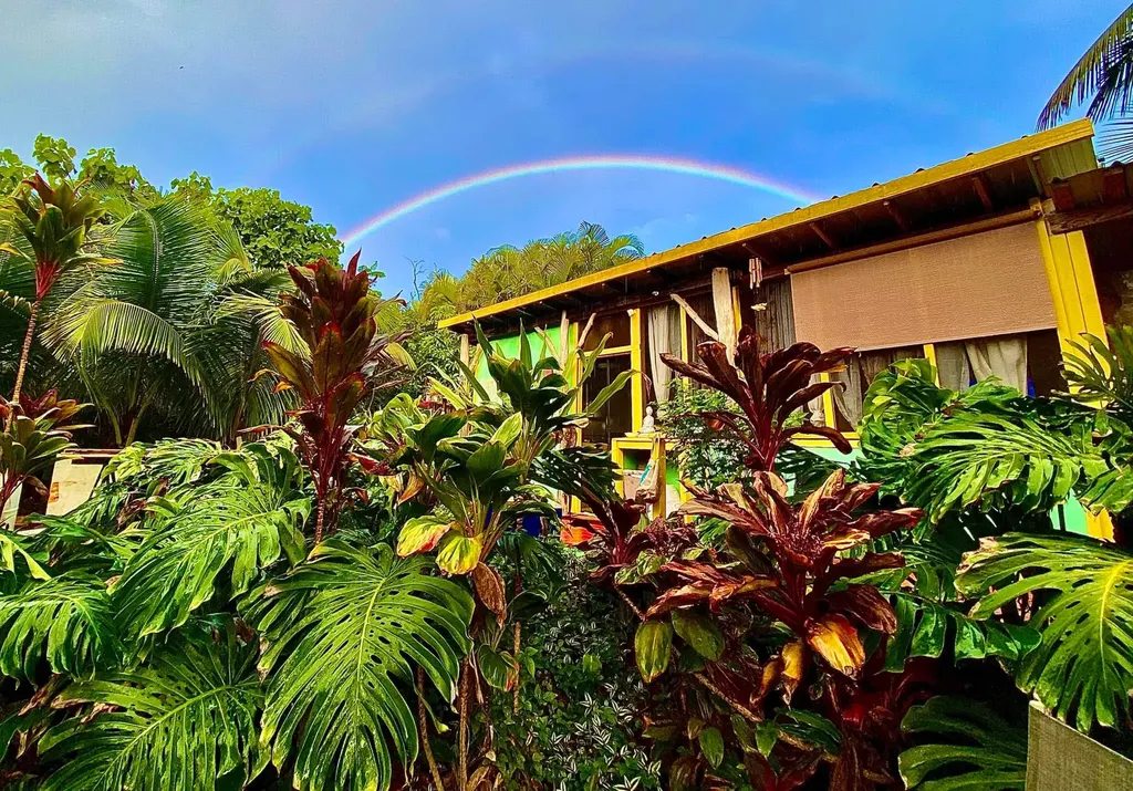 12-7022 Akanikolea Street Pahoa HI 96778
