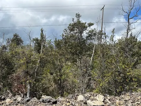 92-8480 Trade Wind Boulevard Ocean View HI 96737