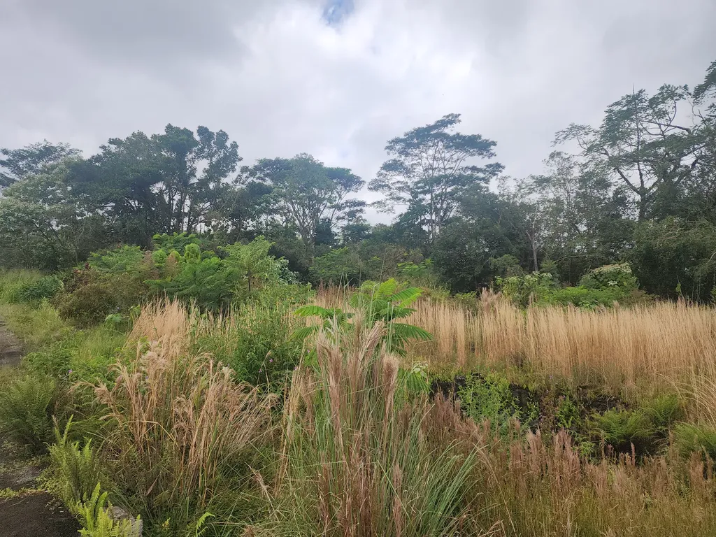 52 Wilder Road Hilo HI 96720