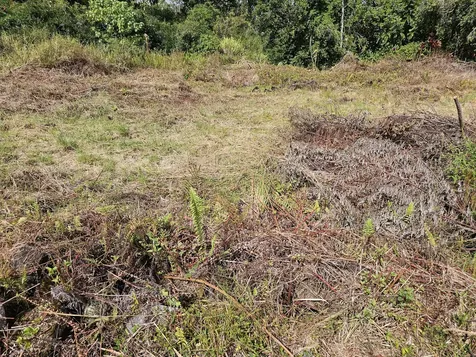 52 Wilder Road Hilo HI 96720