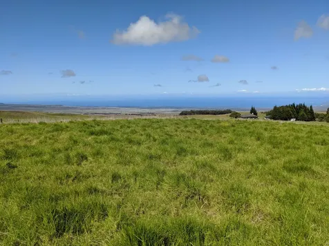 Alulike Street Kamuela HI 96743