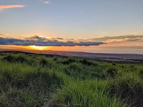 Alulike Street Kamuela HI 96743