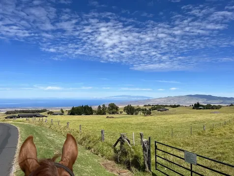 Alulike Street Kamuela HI 96743