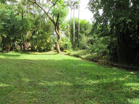 12-567 Aloha Road Pahoa HI 96778