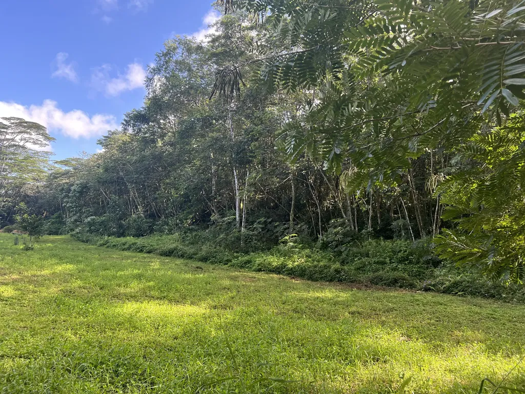 Noni Farm Road Pahoa HI 96778