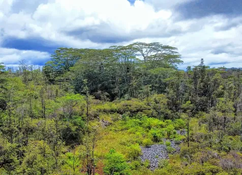 15-2042 24th Avenue Keaau HI 96749