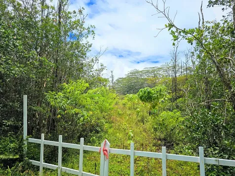 15-2042 24th Avenue Keaau HI 96749