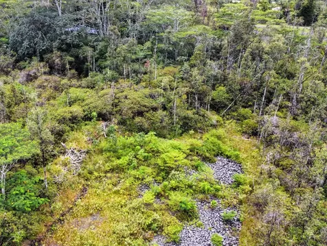 15-2042 24th Avenue Keaau HI 96749