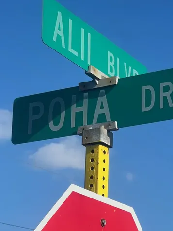 92-8503 Poha Drive Ocean View HI 96737