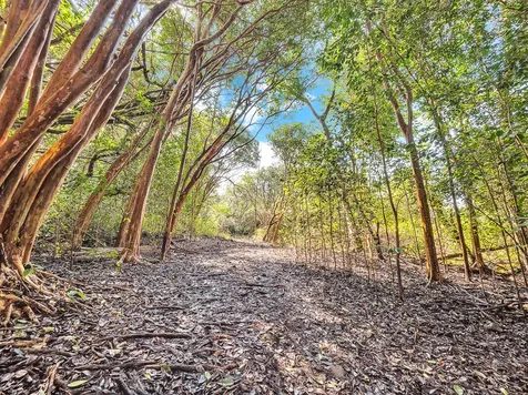 87-1081 Haleili Road Captain Cook HI 96704