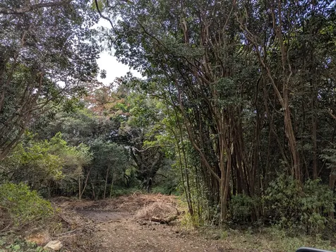 87-1081 Haleili Road Captain Cook HI 96704