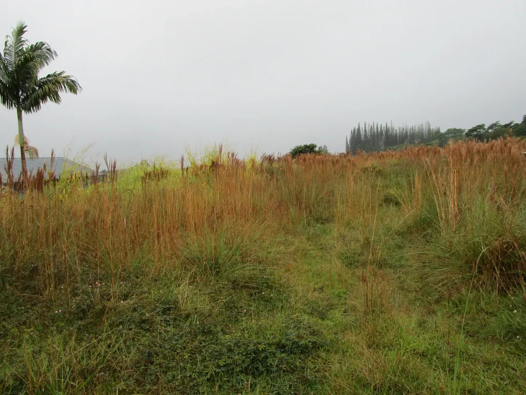 18-1215 Ekena Street Mountain View HI 96771
