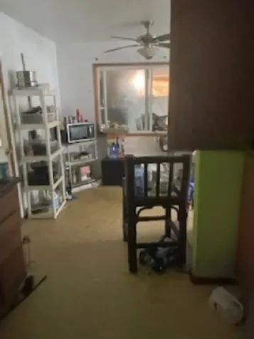 11-3432 Hibiscus Street Mountain View HI 96771