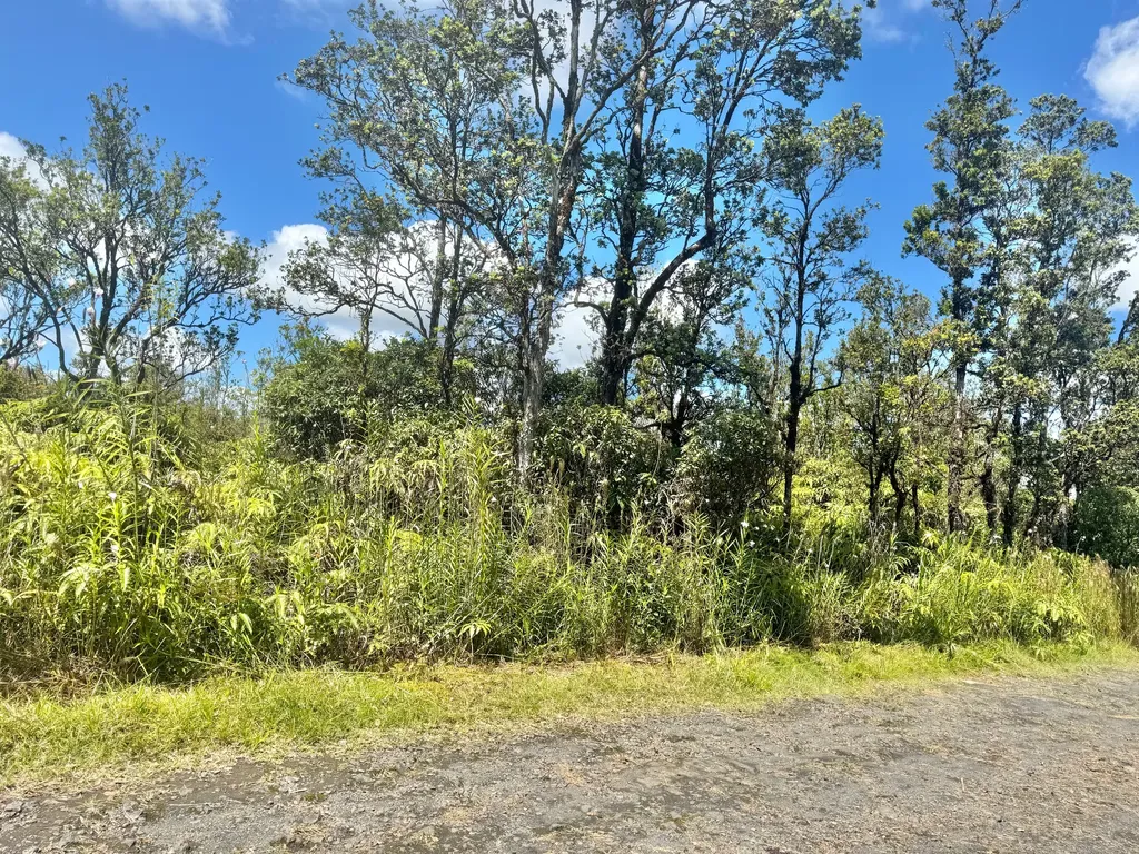 Mikana Street Mountain View HI 96771