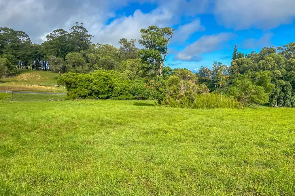 43-1947 Olina Place Honokaa HI 96727