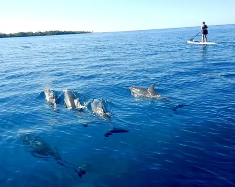 82-6285 Kahauloa Street Captain Cook HI 96704