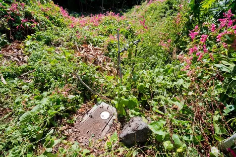 82-6285 Kahauloa Street Captain Cook HI 96704