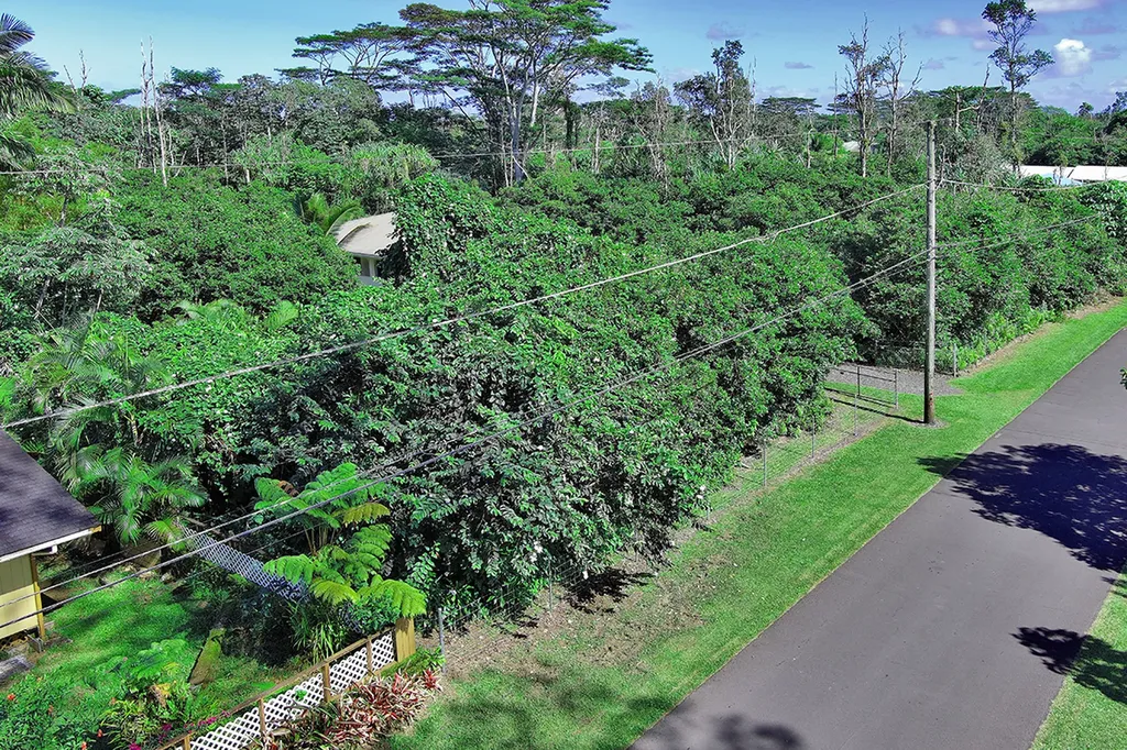 Manalo Street Pahoa HI 96778