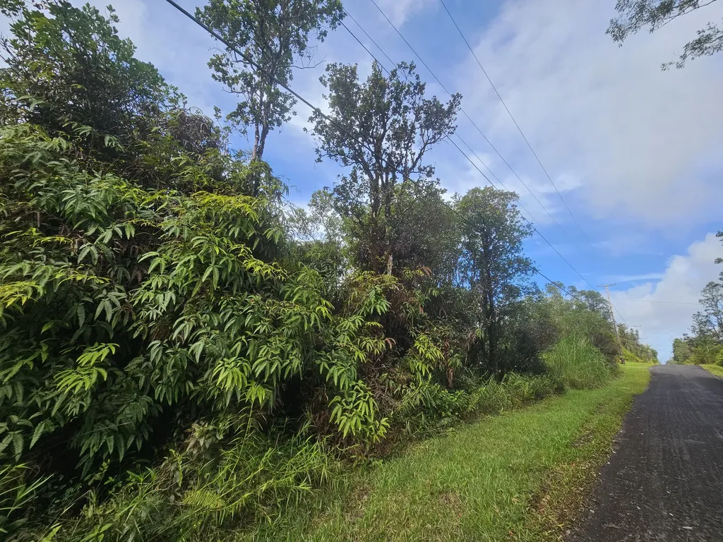 Hibiscus Street Mountain View HI 96771