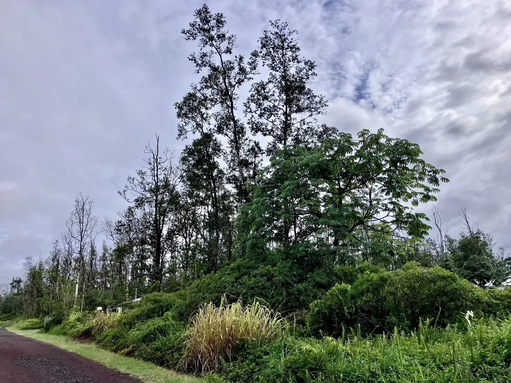 16-2126 Bamboo Drive Pahoa HI 96778