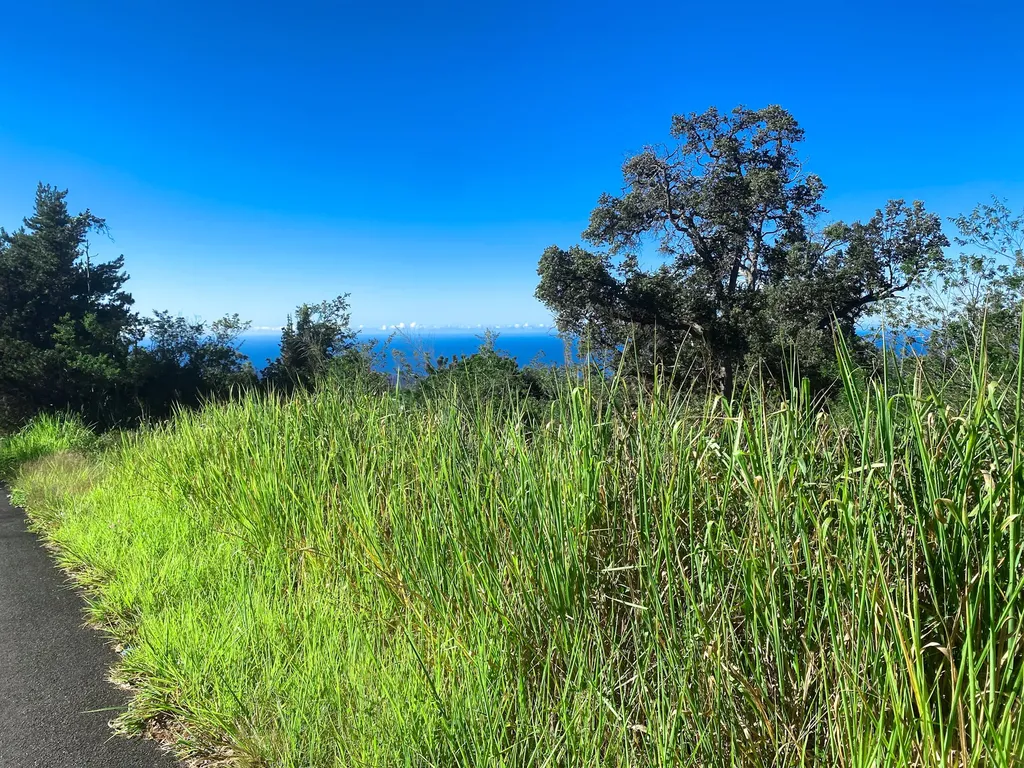 King Kamehameha Boulevard Ocean View HI 96737