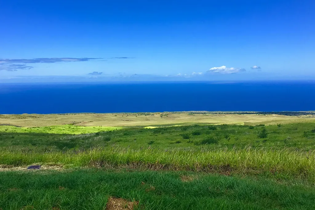 59-644 Ualani Place Kapaau HI 96743