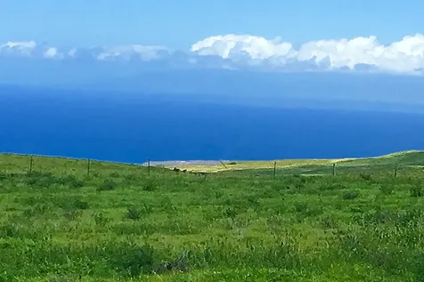 59-644 Ualani Place Kamuela HI 96743