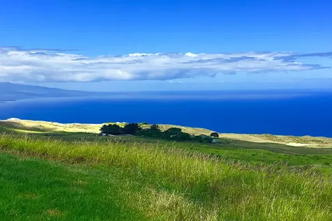 59-644 Ualani Place Kamuela HI 96743