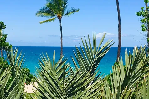 59-644 Ualani Place Kamuela HI 96743