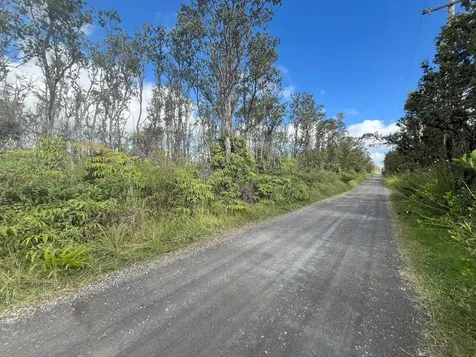 Uluhemalu Road Volcano HI 96785