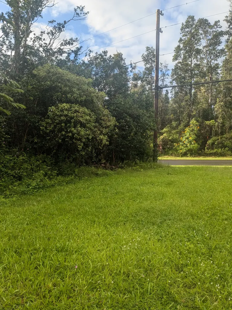 Diamond Head Road Pahoa HI 96778