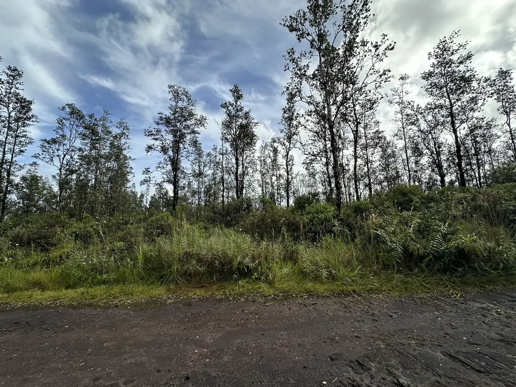 Road 4 (io Kea) Mountain View HI 96760