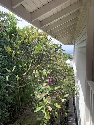 73-4344 Amaama Street Kailua-kona HI 96740