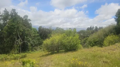 64-635 Kolohala Place Kamuela HI 96743