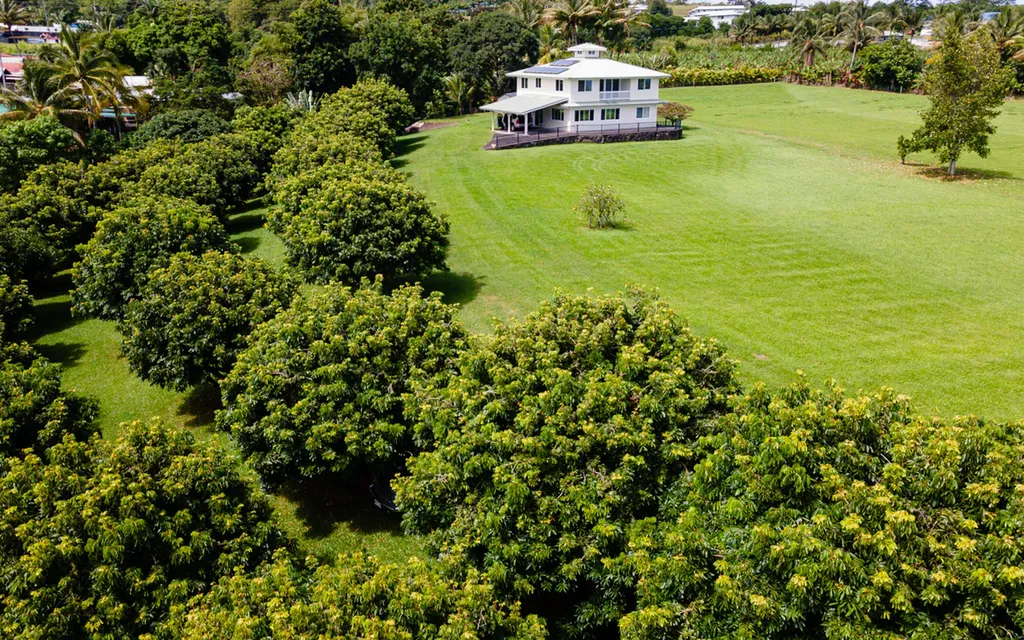 28-1167 Old Mamalahoa Highway Pepeekeo HI 96783