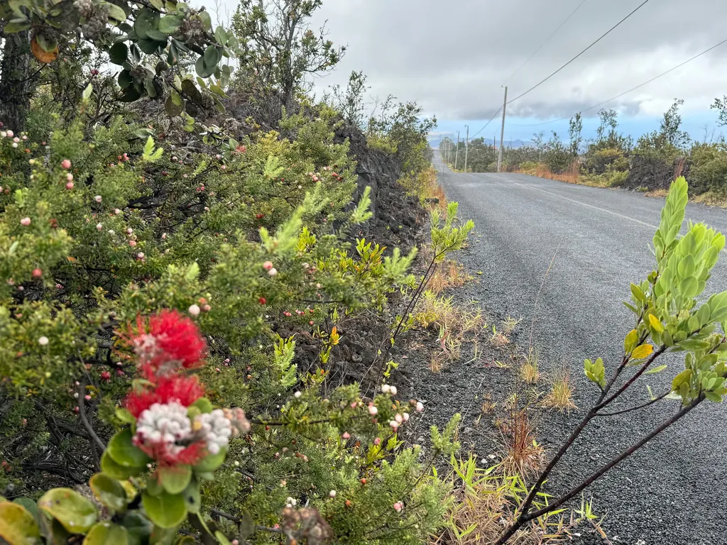 Koa Lane Ocean View HI 96737