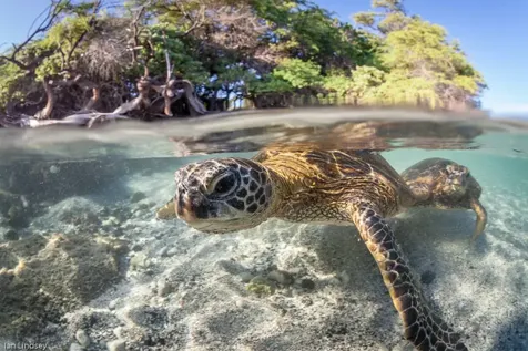 69-1648 Puako Beach Drive Kamuela HI 96743