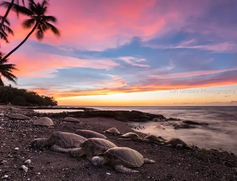 69-1648 Puako Beach Drive Kamuela HI 96743