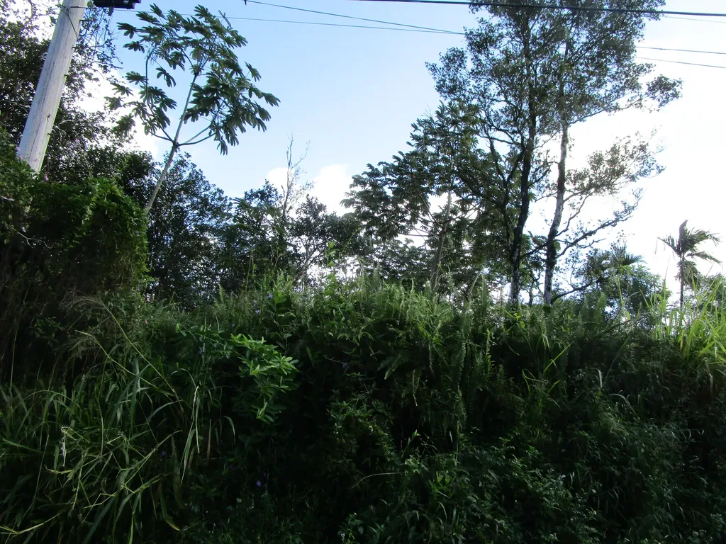 Silversword Court Pahoa HI 96778