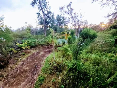 92-8796 Lotus Blossom Circle Makai Ocean View HI 96704