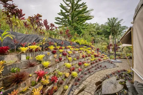 35-1655 Maulua Nui Road Papaaloa HI 96780