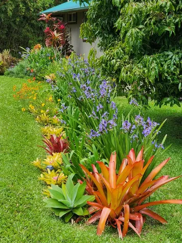 55-2253 Kynnersley Road Hawi HI 96719