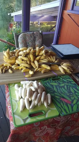 55-2253 Kynnersley Road Hawi HI 96719