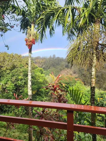 55-2253 Kynnersley Road Hawi HI 96719