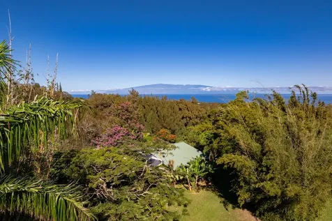 55-2253 Kynnersley Road Hawi HI 96719