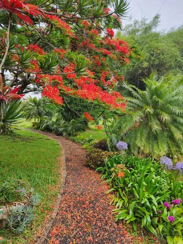 55-2253 Kynnersley Road Hawi HI 96719