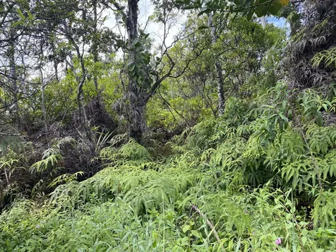 Kukane Road Keaau HI 96749