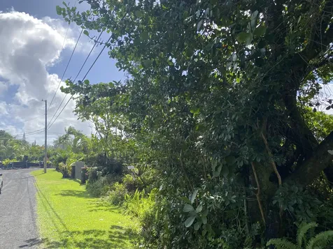 Kukane Road Keaau HI 96749